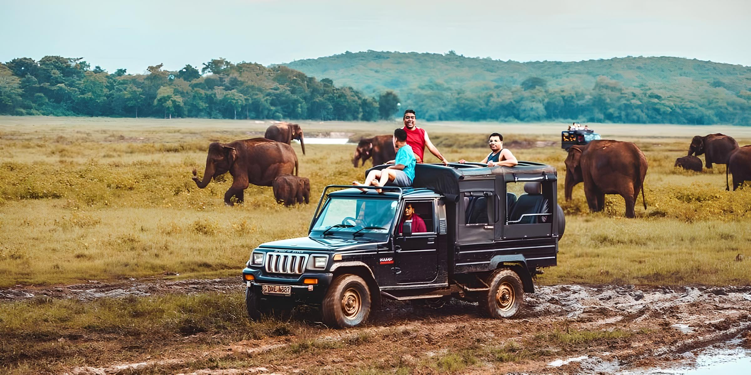 Wildlife Adventures in Sri Lanka - Explore Nature’s Untamed Wonders