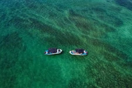 Dolphin /Whales watching Boat Tours Kalpitiya-Small Lagoon Tour