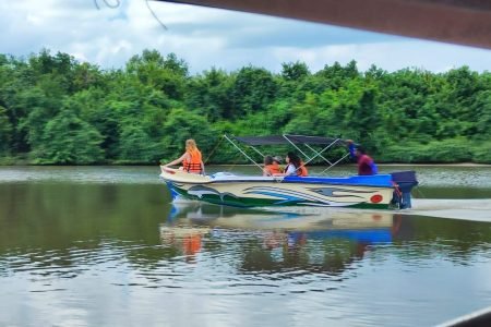 Dolphin /Whales watching Boat Tours Kalpitiya-Mangrove Tunnel Kayak Tour