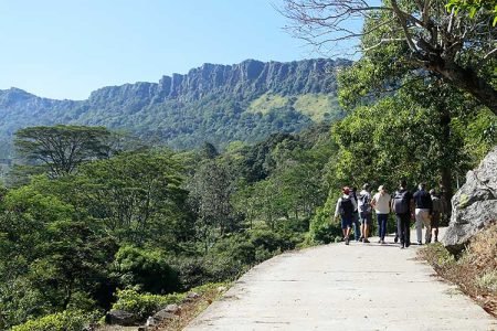 Eco wild Glamping-The Pekoe Trail ( Horton Plains -Udaweriya)