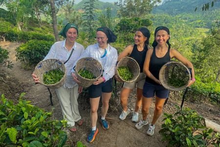 Uva Halpewatte Tea Factory Tour- Plantation Tour