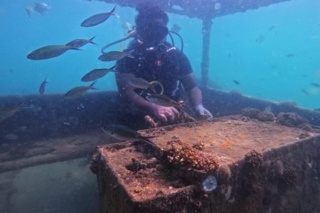 Sea Adventure LK-Snorkeling